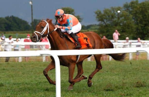 Maker Ready for 2016 Breeders' Cup with Da Big Hoss and Al's Gal