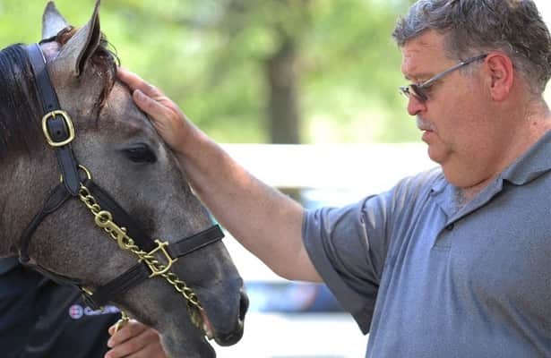 Romans 2-year-old may step up in Street Sense at Churchill