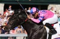 April 12, 2014: Dance With Fate and Corey Nakatani win the Toyota Blue Grass Grade 1 $750,000 at Keeneland racecourse for owner Sharon Alesia, Bran Jam Stable, Ciaglia Racing and trainer Peter Eurton . Candice Chavez/ESW/CSM