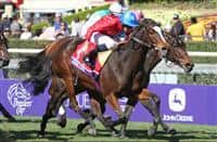 Danks wins the Breeders Cup Filly & Mare Turf