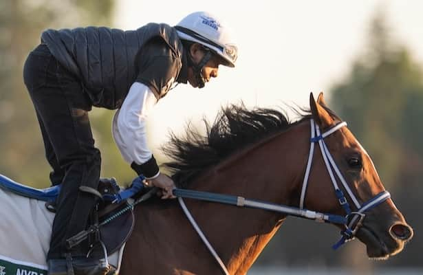 Report: Mystik Dan is training at Keeneland, unlikely for Travers