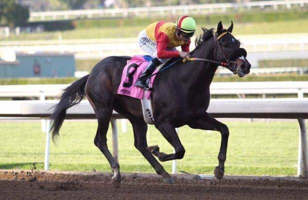 San Felipe Contenders Danzing Candy, Uncle Lino Work Saturday