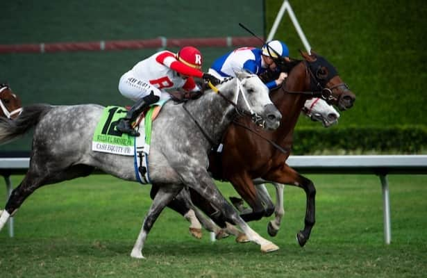 Gulfstream: Dashman, Cash Equity get a rematch in Mac Diarmida