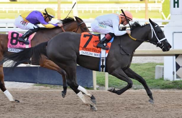 Gulfstream: Dazzling Move wins for new owner in Royal Delta