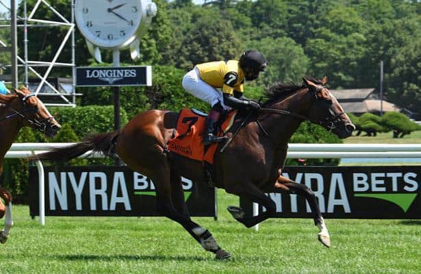 Field Of 13 Set For Saturday S Hollywood Derby