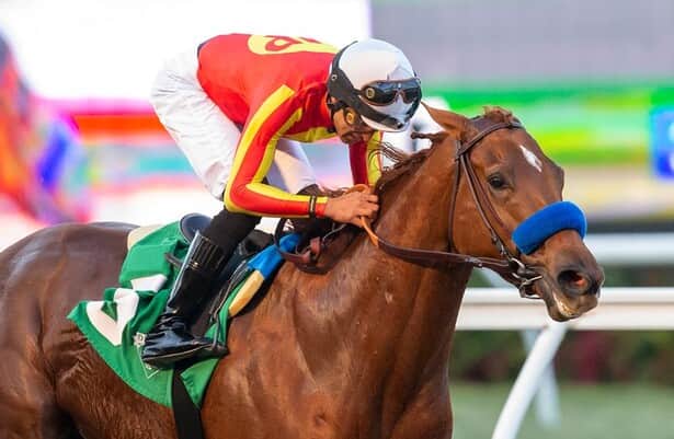 Tom Seaver the horse is a winner in racing debut at Santa Anita, Sports