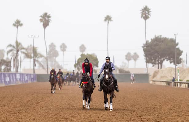 Breeders' Cup notes: Contenders get final tune-ups