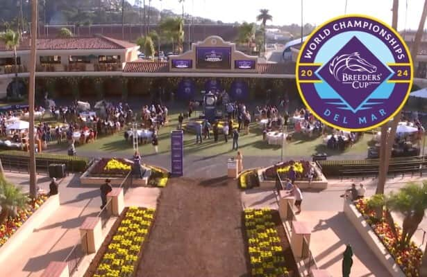 Breeders’ Cup Friday: Draw, post positions, odds for 5 races