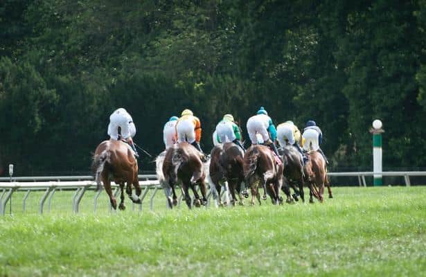 Delaware Park set for Owners' Day showcase