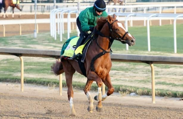 Report: Derma Sotogake targets Breeders’ Cup Classic