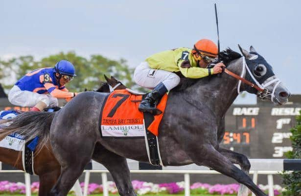 Kentucky Derby pedigree profile: Honor Marie