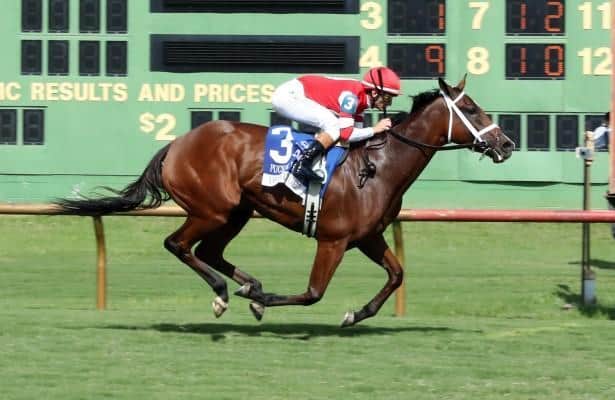 Ellis Park: Destino d’Oro draws away to win Pucker Up Stakes