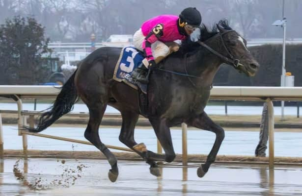 Belmont at Aqueduct: Deterministic will try turf in Manila