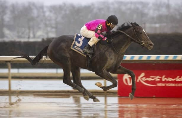 Wood Memorial draw: 13 are in Kentucky Derby prep