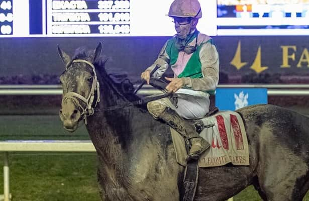 Kentucky Derby standings after 14 points preps