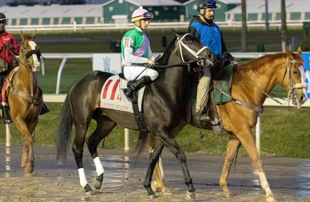 Kentucky Derby scouting report 2: East-southeast division