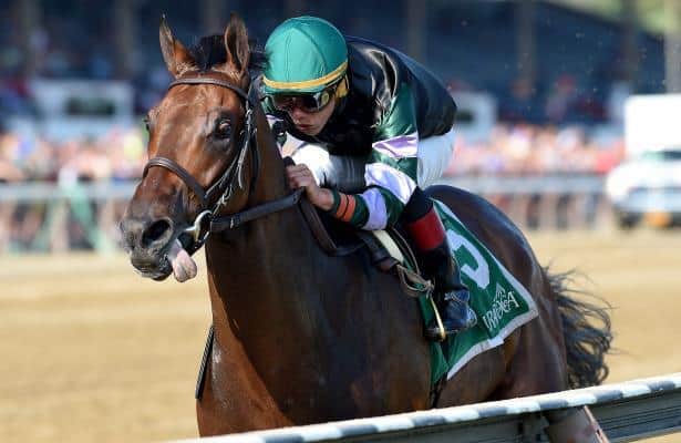 Diversify set to make graded stakes debut in Jockey Club Gold Cup