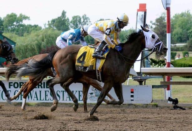 horseracingnation com