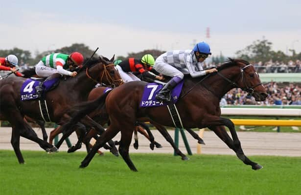 Japan: Do Deuce rallies to win .1 million autumn Tenno Sho