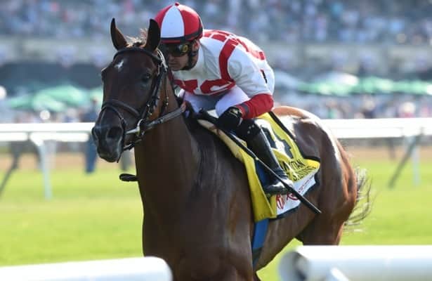 Breeders' Cup scratches: Domestic Spending, United out of Turf