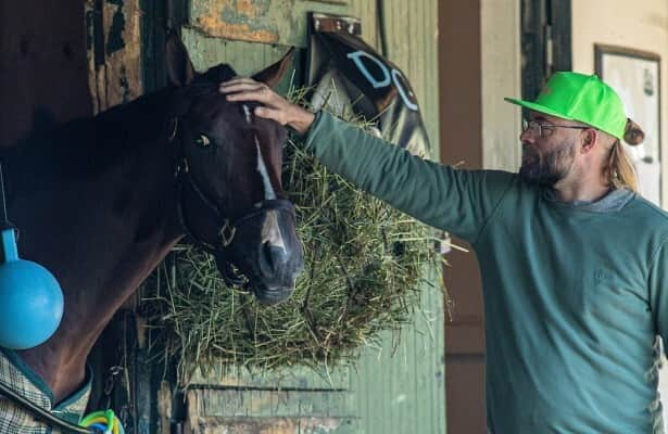 Dornoch has been retired to stud because of bone bruising