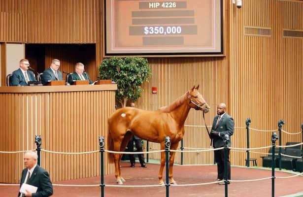 Serena's Song (horse) - American Classic Pedigrees