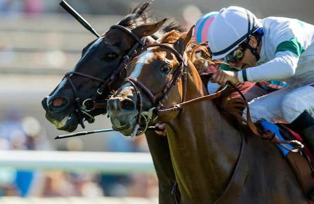 The big hit: Bettor's last-ditch Pick 5 leads to $11,000 payday