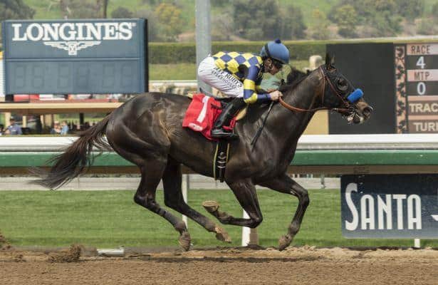 Dr. Dorr seeks graded stakes win in Santa Anita's Californian Stakes