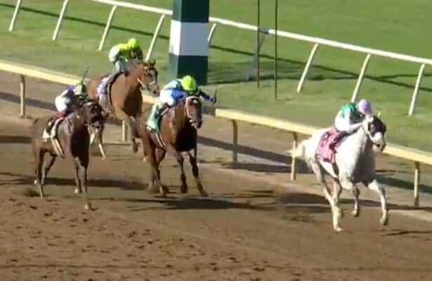 Dragoon Guard passes distance test to win Indiana Derby