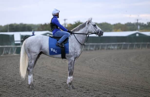 Penn Derby: Cox thinks Dragoon Guard looks Grade 1-ready