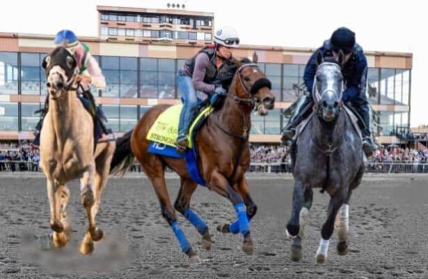 Pennsylvania Derby guide: Odds, PPs, analysis for Parx feature