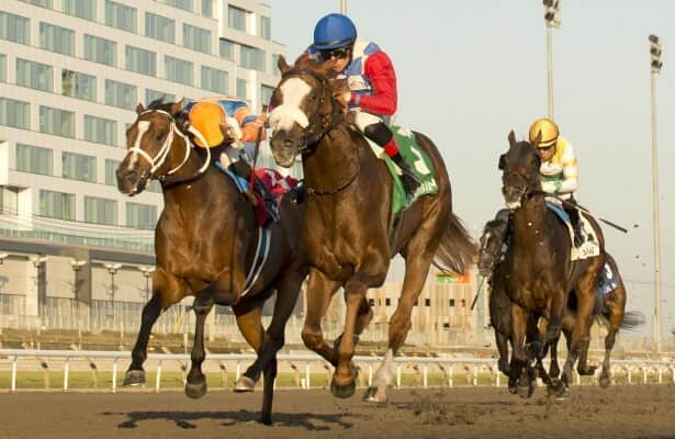 Dresden Row wins another stakes, this time Ontario Derby