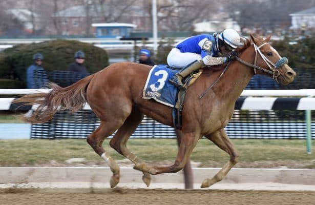 Dublin Girl adds stakes victory to her resume in Maddie May