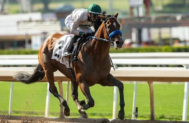 Horses to Watch: 3-year-olds shine on dirt and turf