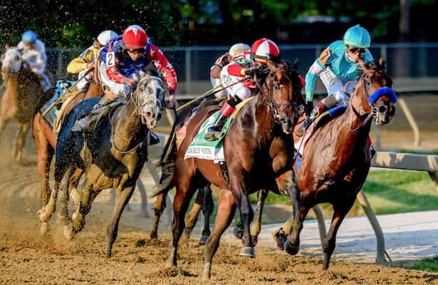 Track Trends: Preakness Stakes aside, favorites are firing