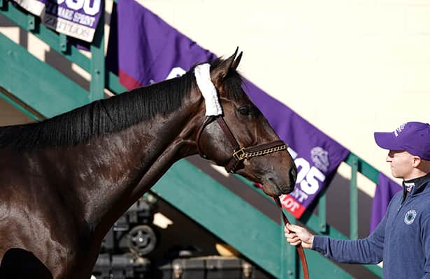 Kentucky Derby prep guide: Risen Star odds, PPs and more