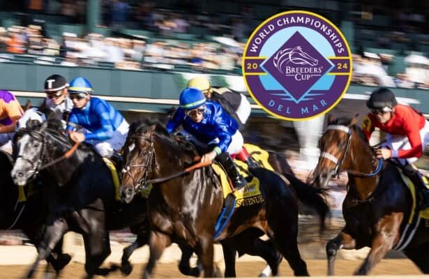 Breeders’ Cup Juvenile 2024: 1st to last analysis