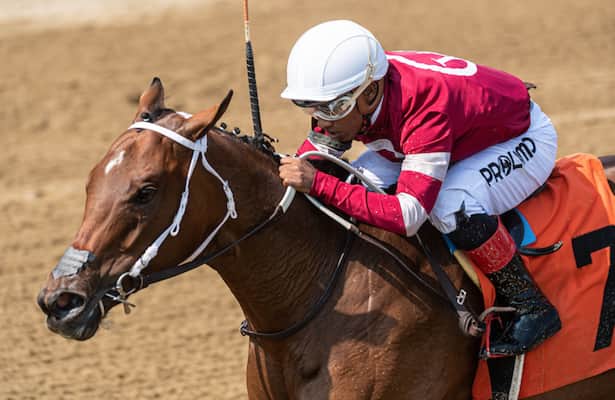 Works: Echo Zulu, 25 other graded-stakes winners hit the tab