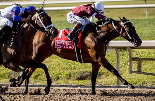 Horses to Watch: Follow these 3 in Memorial Day stakes