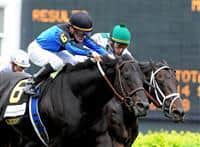 Einstein captures the 2009 Woodford Reserve over Cowboy Cal