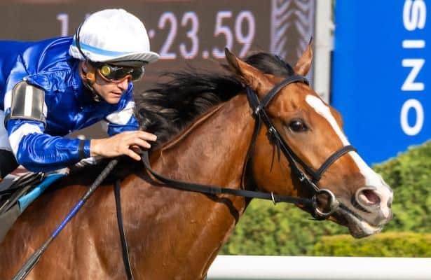 Head to Head: Joe Hirsch Turf Classic tests class and pace