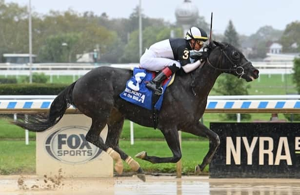 Barn Tour Rice updates on Ky. Derby hopeful 9 others