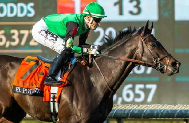 El Potente chases 3rd straight win in Kilroe Mile at Santa Anita