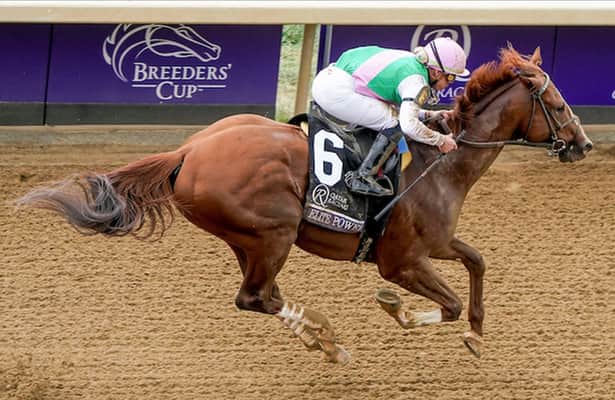 The tabs: Breeders’ Cup winner is among Tuesday workers