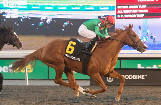 Woodbine wrap: Casse runners capture Maple Leaf, Bessarabian