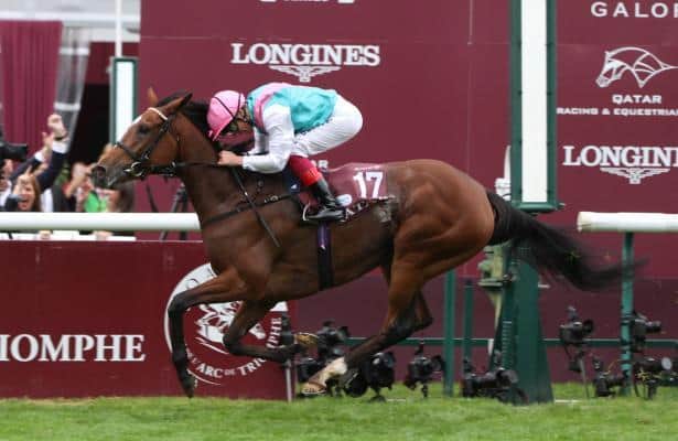 Filly Enable named 2017 Cartier Horse of the Year