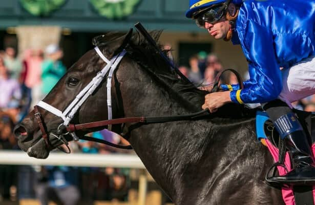 Encino chases 5th straight win in Gulfstream Park Mile