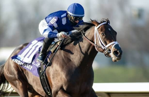 Belmont Derby Invitational 2024: Odds and analysis