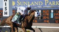 Endorsement wins the 2010 Sunland Derby
