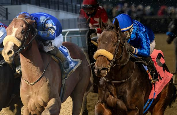 Barn Tour: Harty suddenly has 2 on Kentucky Derby trail